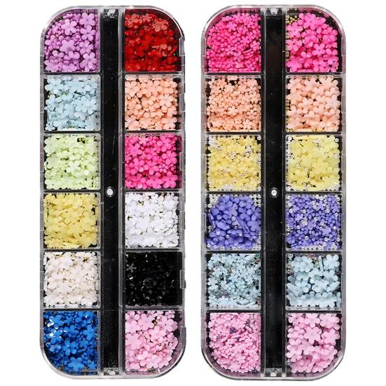 1 Box 3D Flower Nail Charms Multifunctional 12 Grid Design Phone Cases DIY Crafts Nail Art Supplies for Women