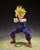 TAMASHII NATIONS Dragon Ball Z Super Saiyan Son Gohan Warrior Beyond Goku 110 мм окрашенная подвижная фигурка SHFiguarts - - Приблизительно. ПВХ, АБС, ткань
