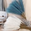 Свадебные искусственные цветы Мини Пампасы Тростник Домашний декор Ins Wind Creative