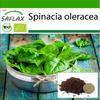 Органический - Шпинат - Гигантский Зимний - 250 семян - С посадочным субстратом для лучшего выращивания - Spinacia oleracea