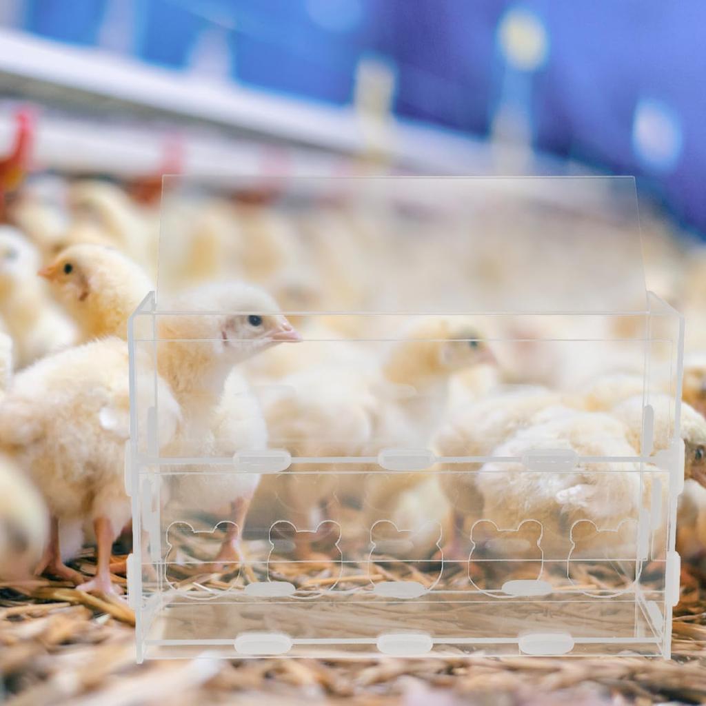 POPETPOP Перепелиная прозрачная кормушка Рутин Кормушка для цыплят Коробка для корма для маленьких птиц Контейнер для воды для цыплят/утят/перепелов/рутинов Коробка-брудер для цыплят