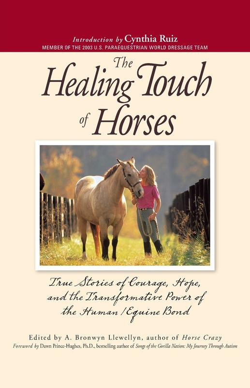 The The Healing Touch For Horses True Stories Of Courage Hope And The Transformativ by UNKNOWN - Paperback Book