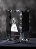 Treeing Walker Coonhound - crystal with a picture of a dog, glass statuette with a picture, unique frame with a picture from Art-Dog brand