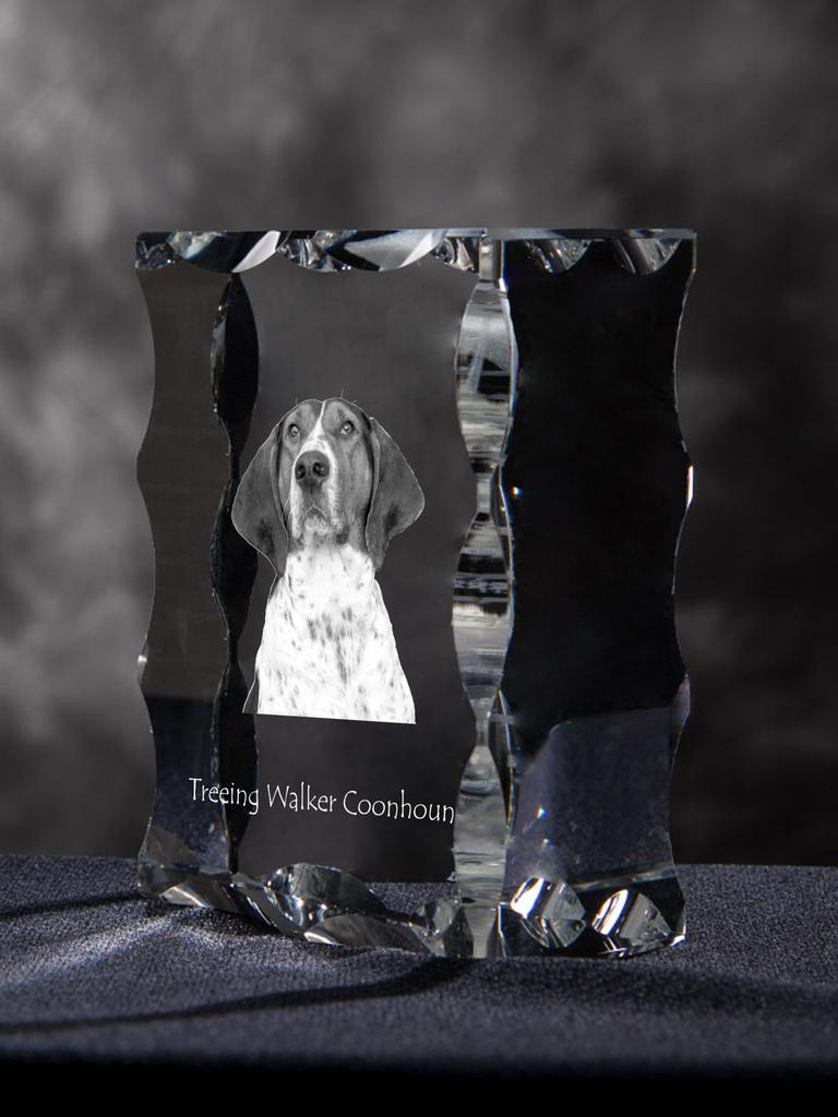 Treeing Walker Coonhound - crystal with a picture of a dog, glass statuette with a picture, unique frame with a picture from Art-Dog brand