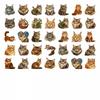 35pcs-50pcs Realistic Fluffy Stickers Whimsical Maine Coon  Stickers  Stickers For DIY Phone Laptop Scrapbook Bike