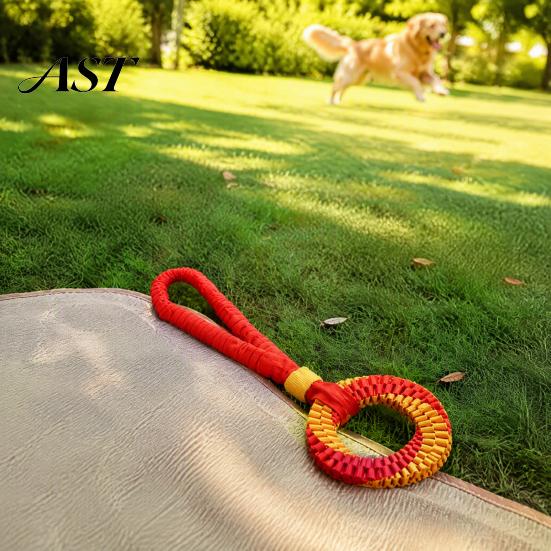 Pet Tug of War Training Tool Bungee Dog Toy, Woven Ring with Long Handle, Interactive Chew Teeth Soft Polyester Rope Cleaning Toy for Medium