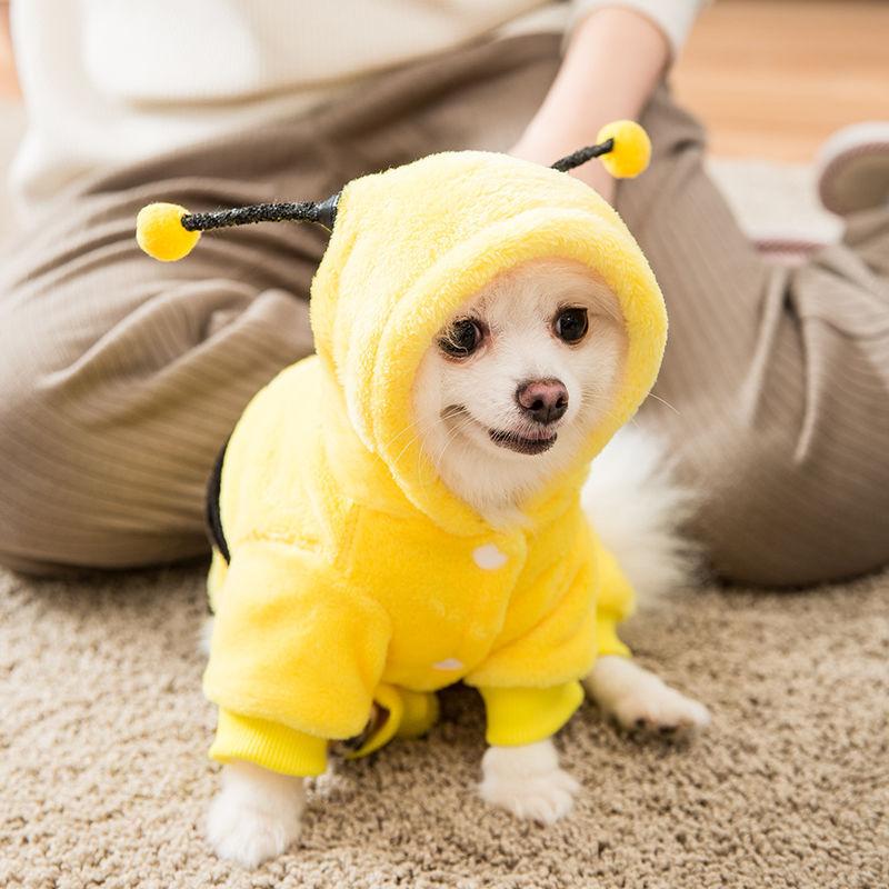 Одежда для домашних животных, одежда для щенков, Тедди/померанский шпиц, маленькая собака, осенне-зимняя осенняя одежда, одежда для четвероногих домашних животных