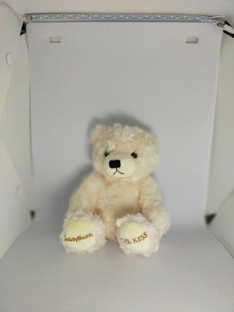 [USED] Teddy bear collaboration with THEKISS