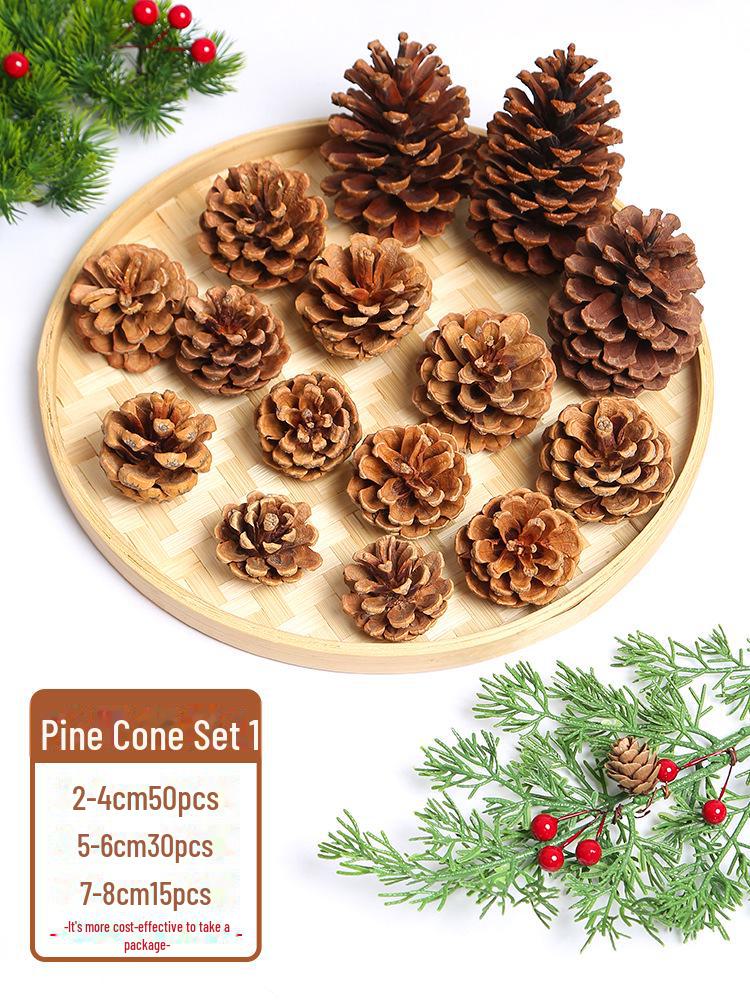 Pine Cone DIY Decoration Kit: Branch, Log, Dried Flowers for Creative Kindergarten Hanging Crafts