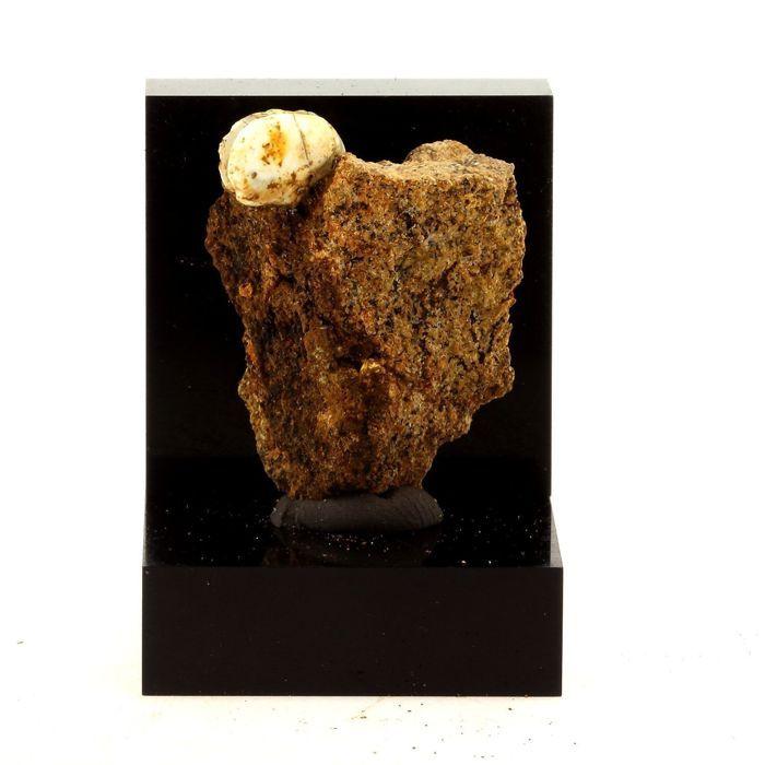 Lussatite (Opale-CT) 25.5 carats