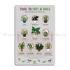 Plants Toxic To Cats And Dogs Metal Signs Party Cinema Club Cave Create Tin Sign Poster