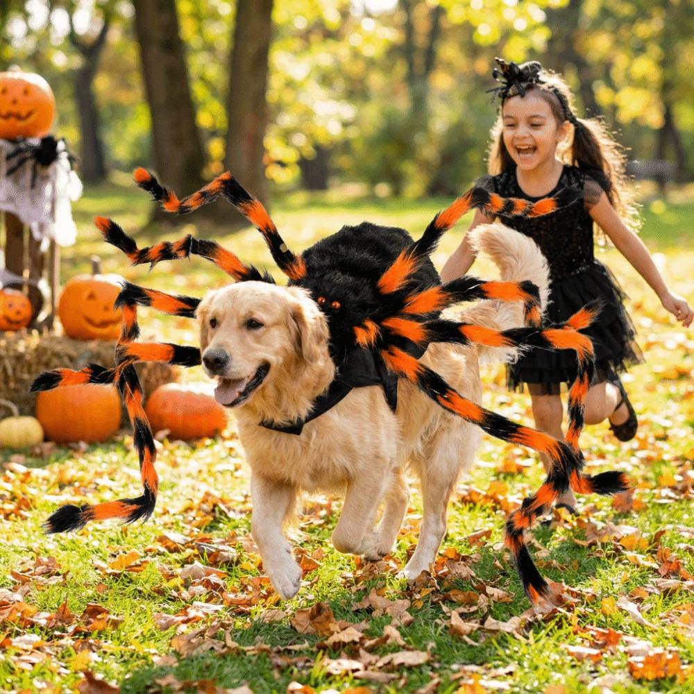 LED Purple Lights Halloween Pet Spider Costume Furry Pet Cosplay Costume  Halloween Party