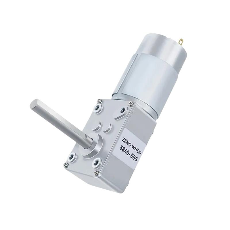 Micro Worm Gear Brushed Motor 5840-555 12v~24v Unidirectional Long D-type Shaft Forward And Reverse Gear Reduction Motor