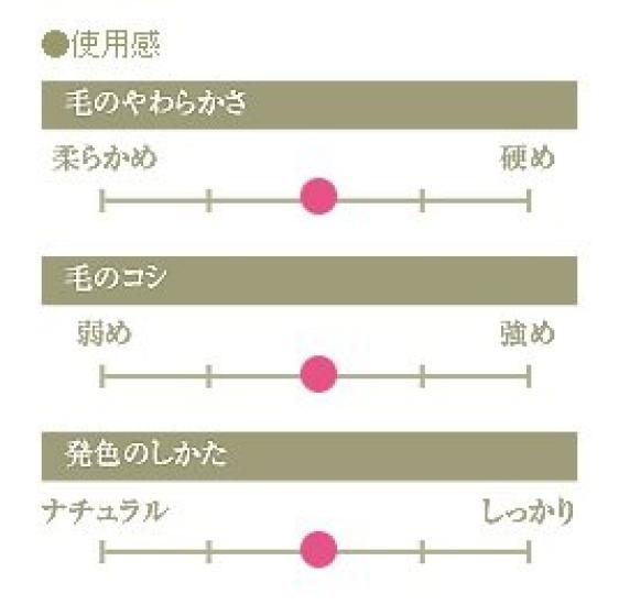 Kumano Brush Chikuhodo Authentic Brush Goat Hair Makeup Brush Powder/Face RR-H1, (Soukouho) - Hiroshima,