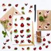 500Pcs/Roll Q Ladybugs Series 02 Rolling Rewards Stickers - DIY Scrapbooks Album Decor Sealing Label Decals