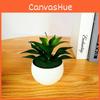 Sinocrassula Indica Artificial Potted Plant Succulent Plant For Home Decor