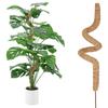 Moss Pole Perfect for Small and Medium Climbing Trellis Plants Growth Indoor