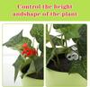 10-50 шт., 90 градусов, гибки растений, тренажер для манипулирования ростом, зажимы для растений, зажимы для гибки веток, аксессуары для веток