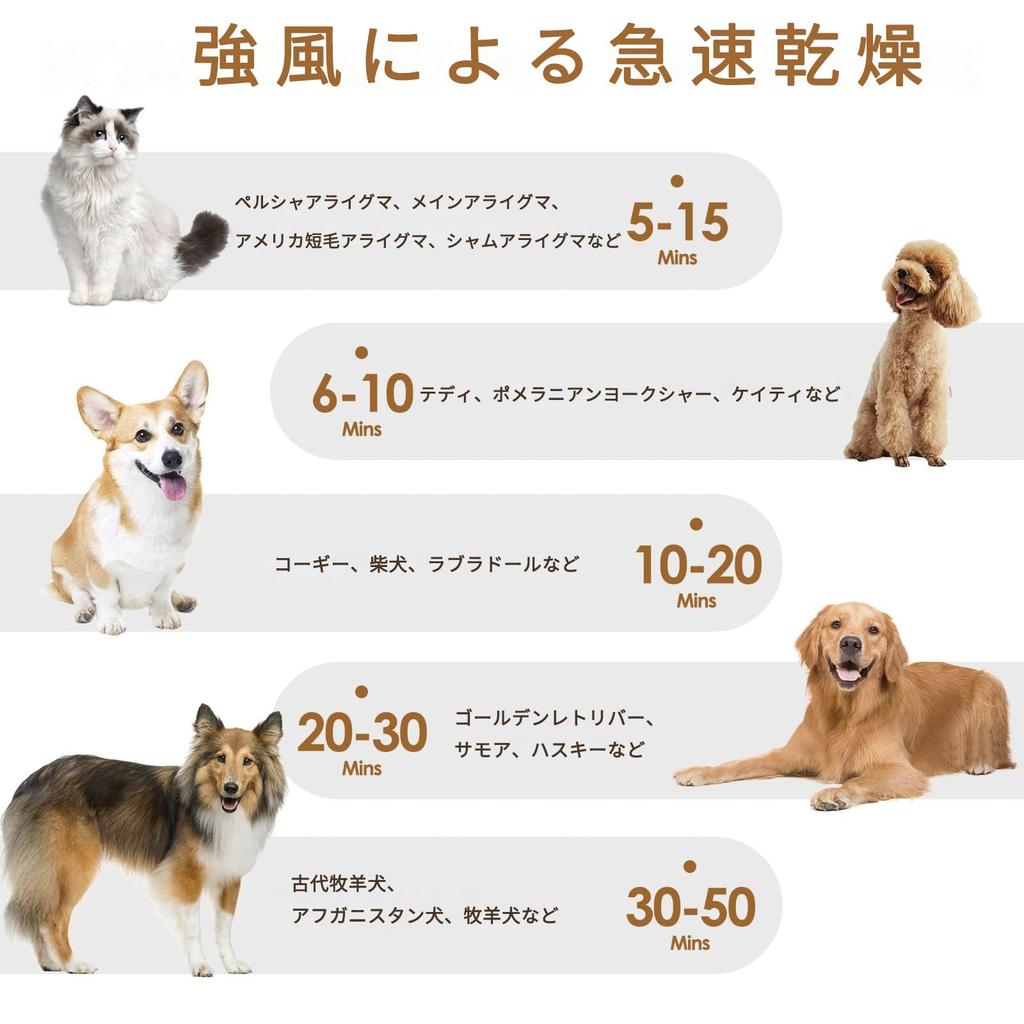 Фен для домашних животных 2800 Вт Фен для собак с ЖК-экраном управления 6 уровней скорости ветра Фен для кошек и собак Большой объем воздуха Фен для кошек Бесступенчатая регулировка скорости ветра