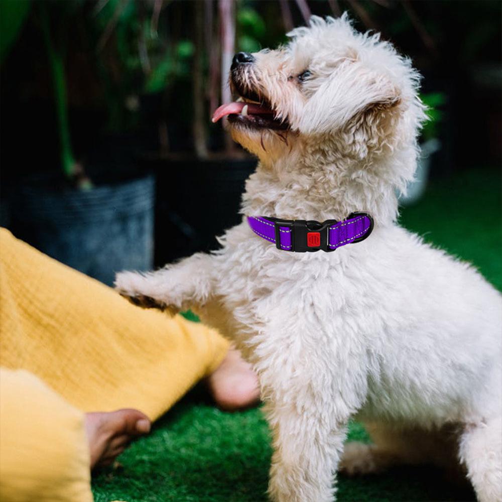 Ошейники для щенков домашних животных XS SML Регулируемый мягкий ошейник унисекс для собак Светоотражающий нейлоновый ошейник