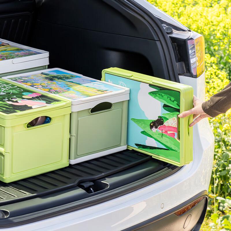 Tiemuyun Portable Camping Storage Box