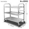 Stainless Steel 3-Tier Commercial Serving Cart