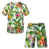 Hawaiian Beach 3D Print Men's Tracksuit Fruit Plant T-shirt Shorts Sets 2 Pieces Streetwear Oversized Sportswear Suits Clothing