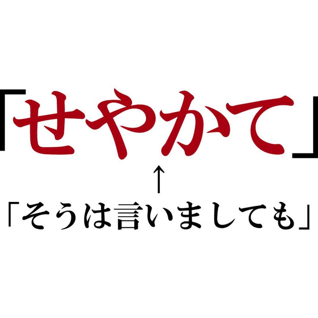 Minami Funny Even Hiragana Katakana Japanese Funny Short Sleeve White L Size Horie's T-Shirt "Seyakate" So, T-Shirt Men's