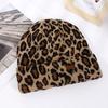 Leopard Print Light Body Knitted Hat for Winter Warmth Melon Skin Hat Wholesale Rolled Edge Dome Hood Internet Famous Hat