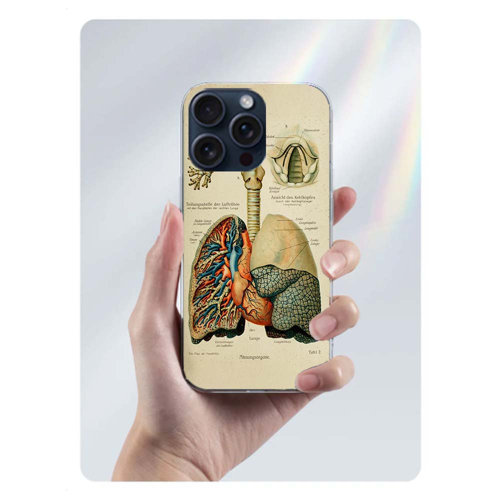 Медицинский Человеческие Органы Мозг Чехол Capa Для Телефона Для Iphone 17 Air 16 Pro Max 15 12 Pro 14 Plus 17E 16E 11 13 Mini Чехлы Fundas