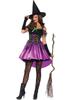 LEG AVENUE Spiderweb Witch Collar Dress and Hat Set Size L Costume, Multi-Purpose, Women's