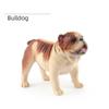 Solid Dog Figurine Simulation Miniature Animal Model Children Educational Toys   Collection