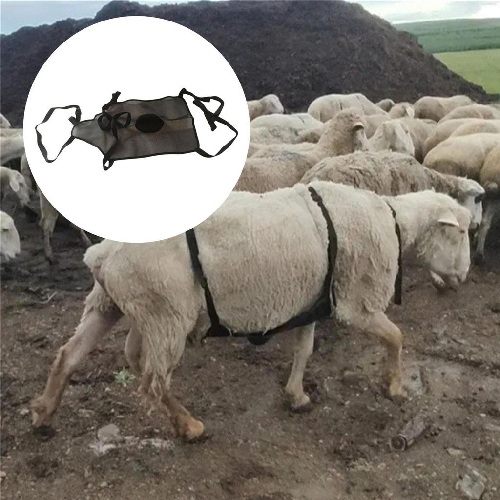 Livestock Protective Cover for Abdomen - Durable And Easy To Use
