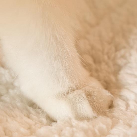 Спальный мешок для кошек, теплая кровать для домашних животных, уютный домик для кошек, флисовая палатка, гнездо для домашних животных, карманный мешок для сна на осень и зиму для домашних кошек