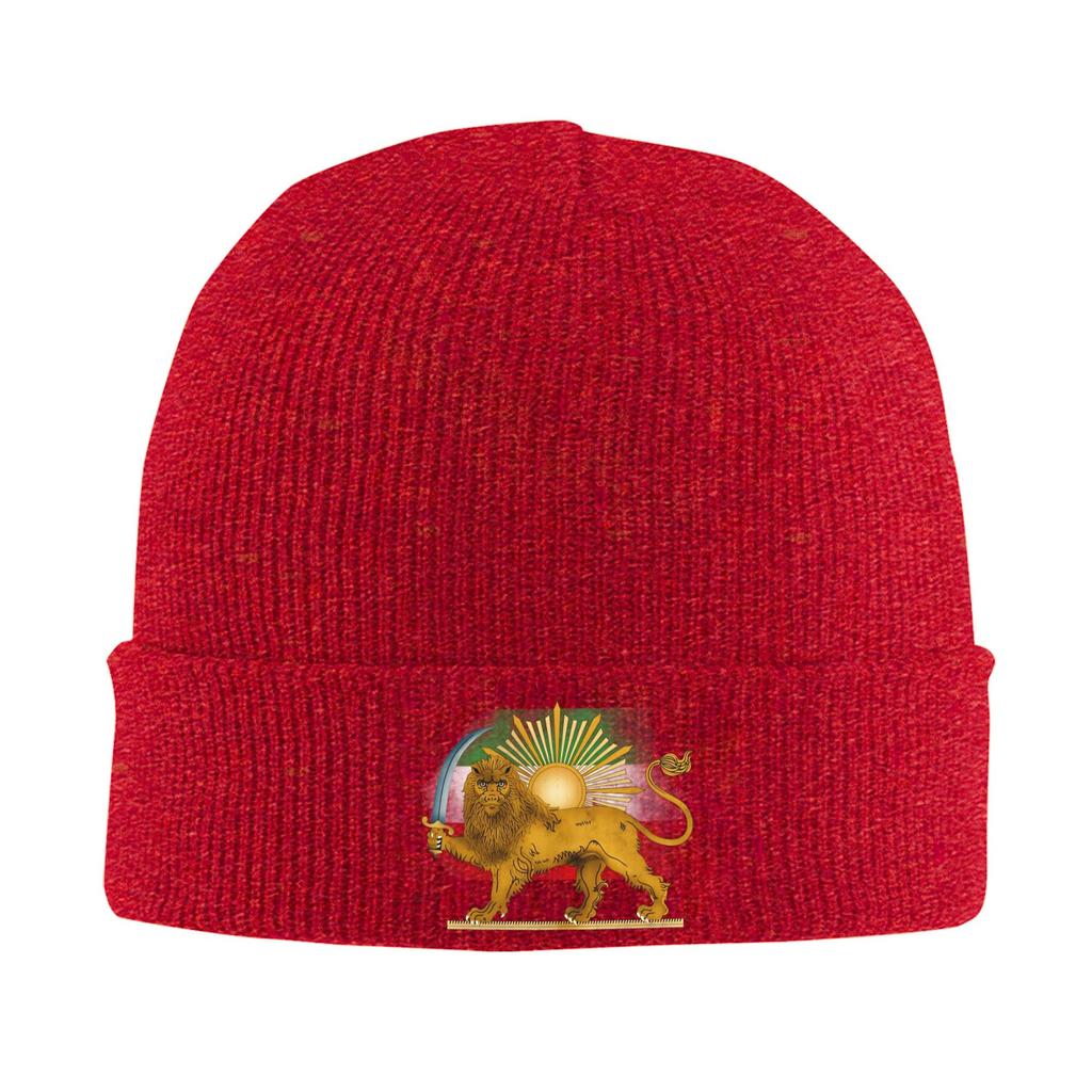 Persian Lion And Sun  Beanie Hats  Bonnet Hats Unisex Women Unisex Fashion Hippie Skullies Beanies Autumn Custom Elastic Caps