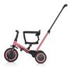 COLIBRO Children's Bike 6 in 1 TREMIXUP ROSE