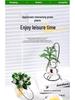 Indoor Desktop Murraya: Easy-Care Blooming Green Hydroponic Plants for Office & Living Room