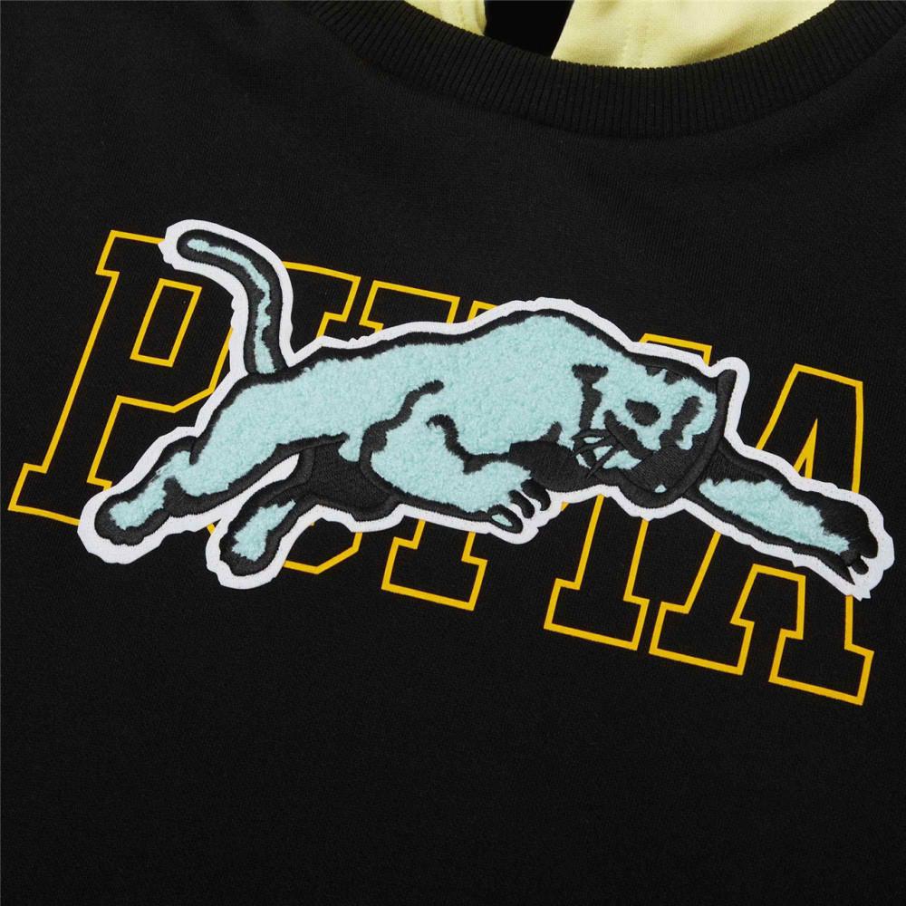 Puma Мужская толстовка с капюшоном с вышивкой в стиле пэчворк 532102-01