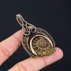Unique Ammonite Fossil Gemstone Handmade Pure Copper Wire Wrapped Pendant Jewelry