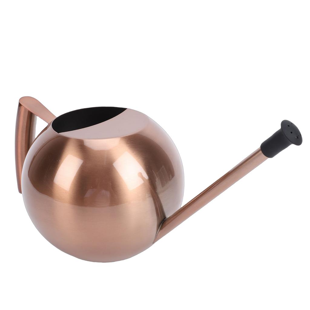 Watering Can with   Spout 1000ml Stainless Steel Round Indoor Plant Watering Can with Detachable Head for Home Garden Flower