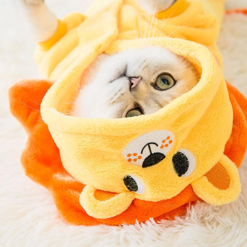 Одежда для домашних животных, одежда для щенков, Тедди/померанский шпиц, маленькая собака, осенне-зимняя осенняя одежда, одежда для четвероногих домашних животных