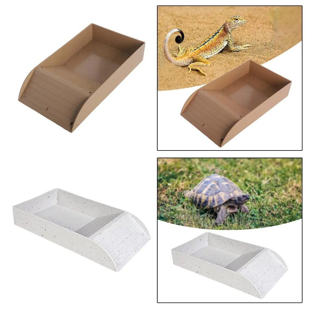 Smooth Tortoise Feeder With Platform Turtle Tank Tortoise Feeding Dish  Hamster
