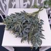 Silk Willow Leaf Fake Green Grass New Vine Plants  Vase
