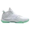 Баскетбольные кроссовки Li Ning Cicada Wing Мужские Средние Белый/Зеленый ABAR081-2