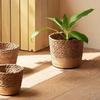Nordic Natural Seagrass Woven Plant Basket - Handmade Rattan Flower Pot Cover for Home Decoration