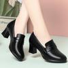 High Heels Women's Spring and Autumn New Single Shoes Waterproof Table Women's Leather Shoes Work Shoes Black Loafers