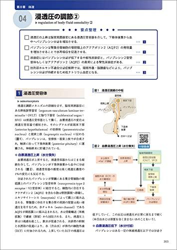 КРАТКАЯ ФИЗИОЛОГИЯ И АНАТОМИЯ: Структура, функция и патофизиология человеческого тела