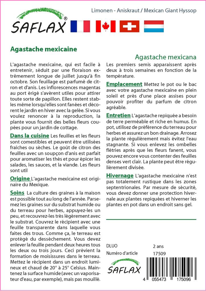 SAFLAX Garden in the Bag - Иссоп мексиканский гигантский - 50 семян - С субстратом в подходящем стоячем пакете - Agastache mexicana