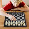 Andux Foldable Magnetic Chess Board Game Set Chess and Checkers 3212 2-In-1 CXYXQ-02 (L)