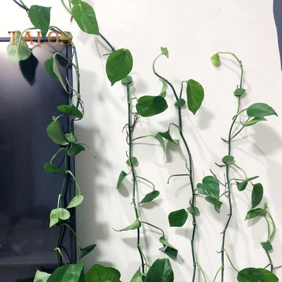 10/30/50/100 шт. держатель для растений, зажимы для крепления на стену для скалолазания с прозрачными наклейками, зажимы для фиксации растений в форме листа для внутренней и наружной стены